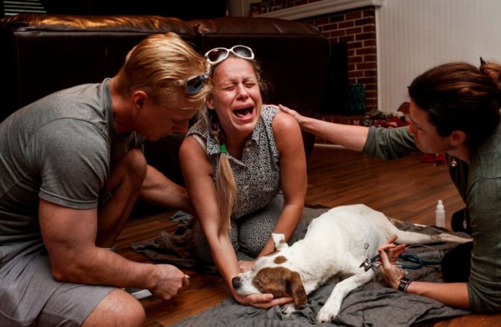 Las desgarradoras fotos de dueños despidiendo a sus perros