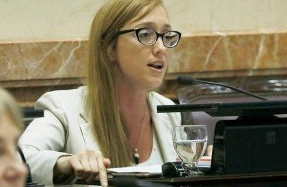 Fernández Sagasti: "Nos piden un esfuerzo y tienen la plata afuera"