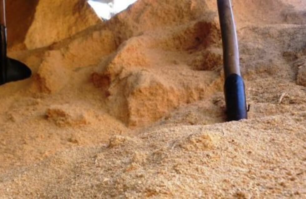 Colonia Caroya tendrá la primera planta de bioenergía de la provincia