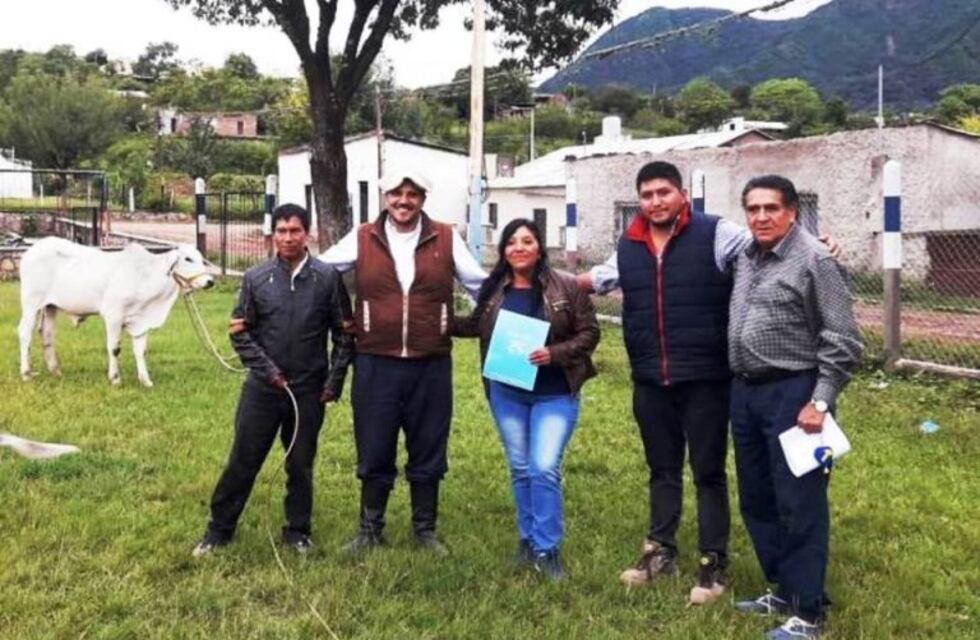 Jujuy suma genética de calidad para el ganado bovino