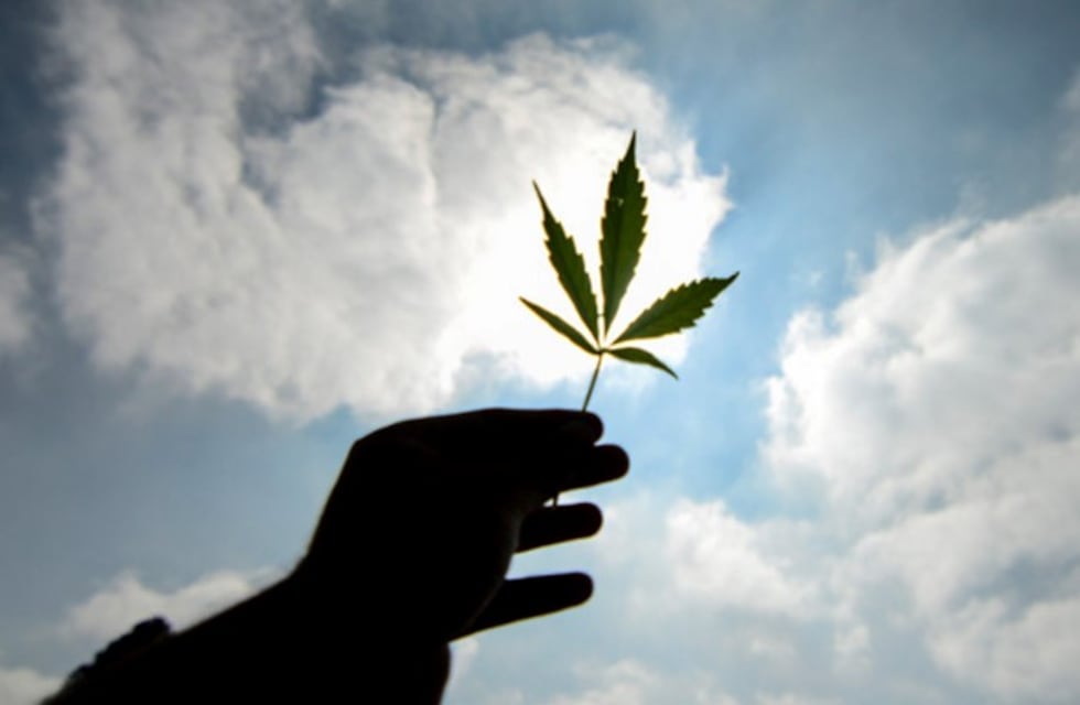 Se manifiestan por despenalización del uso de cannabis en Río Gallegos