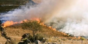 Alerta Mundial: se incendia el "segundo pulmón verde" del planeta