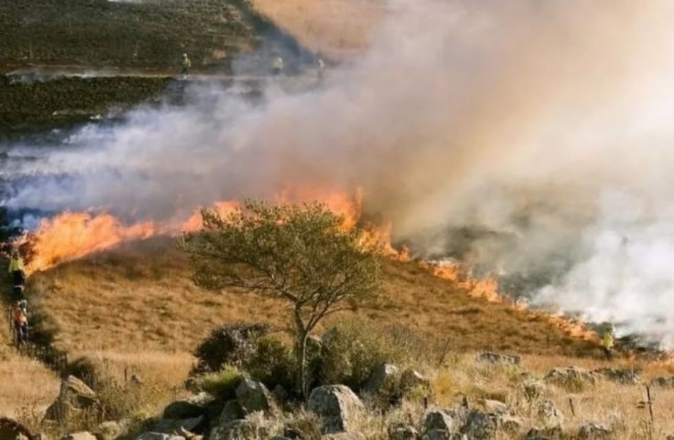 Alerta Mundial: se incendia el "segundo pulmón verde" del planeta