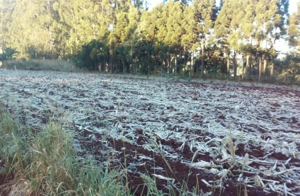 Pronostican fuertes heladas, sobre todo en la Zona Centro de Misiones
