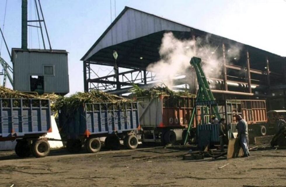 Coronavirus: la zafra se pone en marcha con protocolos sanitarios