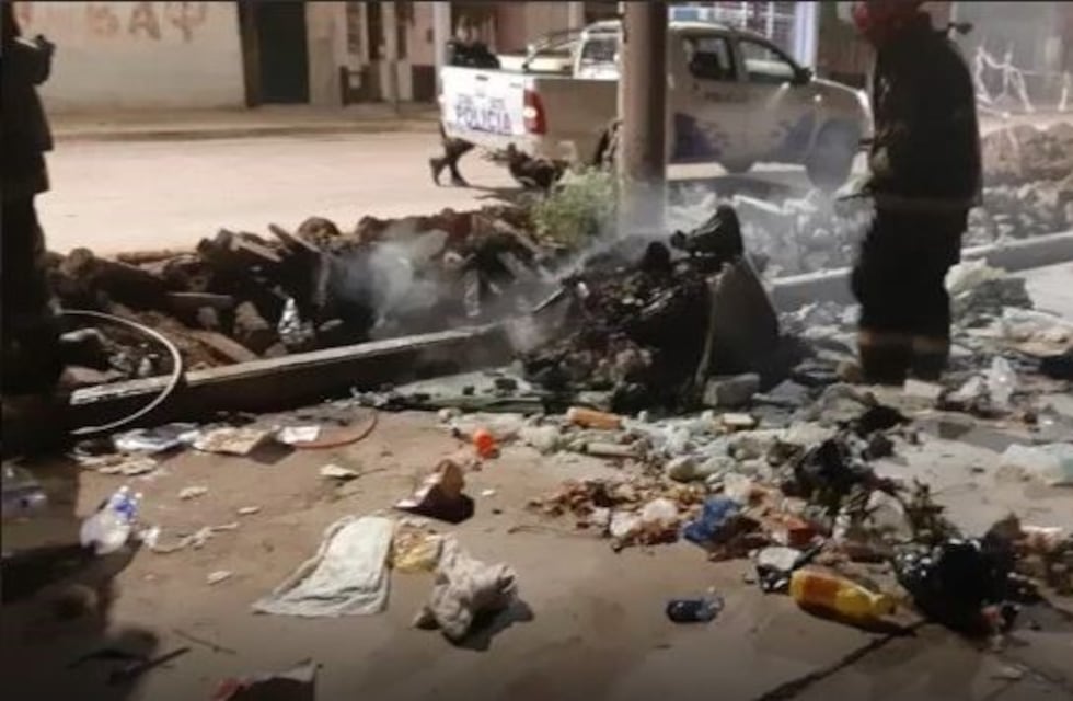 Crueldad sin límites: arrojaron cuatro cachorros en un contenedor y le prendieron fuego