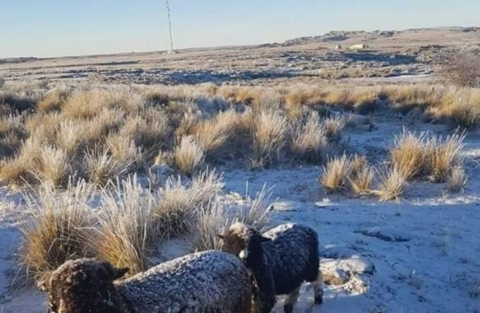 Las postales de una jornada vestida de blanco en las Altas Cumbres