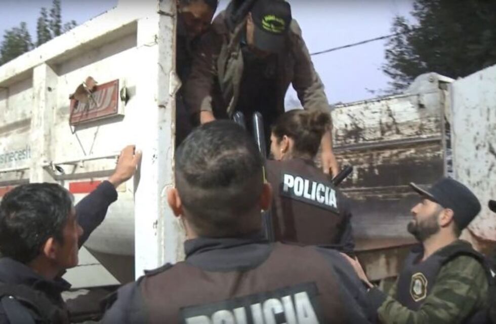 Caballo de Troya II: impresionante operativo policial para desbaratar una banda narco en La Plata