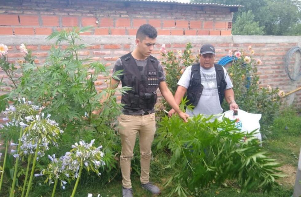 Villa Arias: Secuestraron casi 2 kilos de marihuana