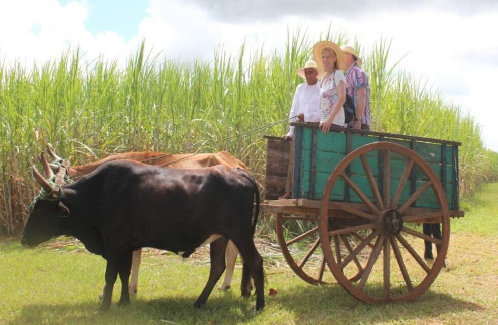Asunción del Paraguay: una escapada a la ciudad donde pasado y futuro se abrazan