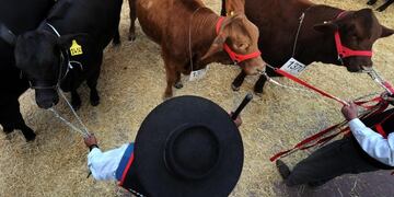 El ministro del Agro destacó a Andresito como productor de yerba y ganadería\u002E (Foto: AFP)\u002E