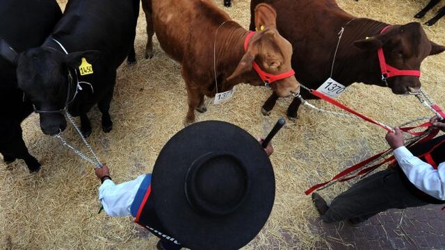 Remate en Andresito (CIMECO)