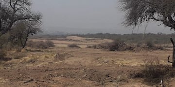 Desmonte en parque solar