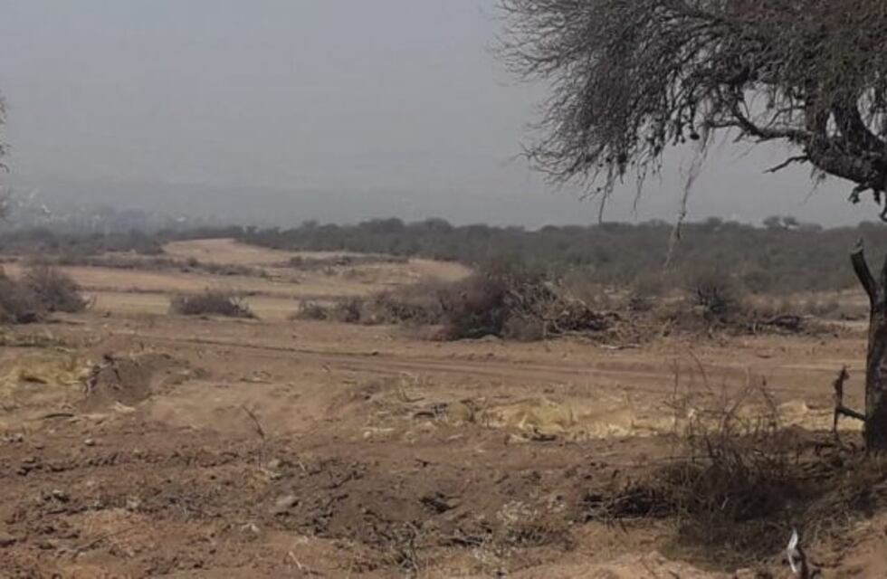 Policía ambiental clausuró el parque solar