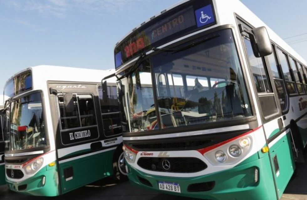 El Gobierno confirmó que aumentará el transporte público el próximo año