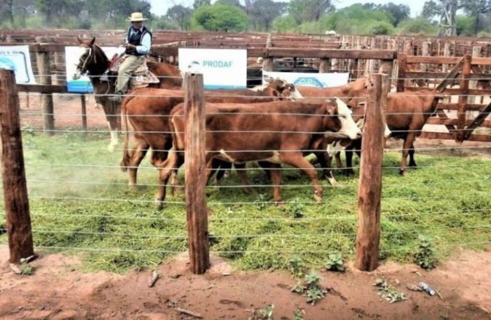 Se realiza el último remate ganadero del año