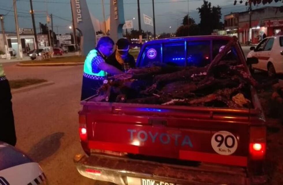 Robaron cinco vacas y fueron detenidos con 300 kilos de carne vacuna