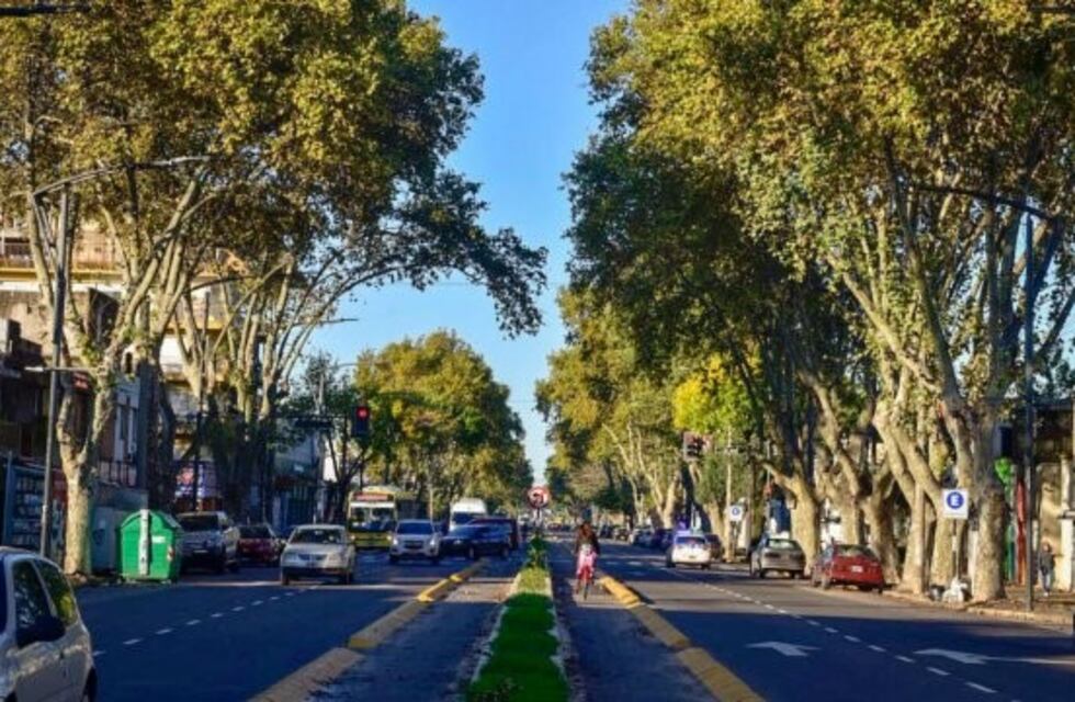 Planeó un secuestro virtual pero le tendieron una trampa cuando pasó a buscar el rescate