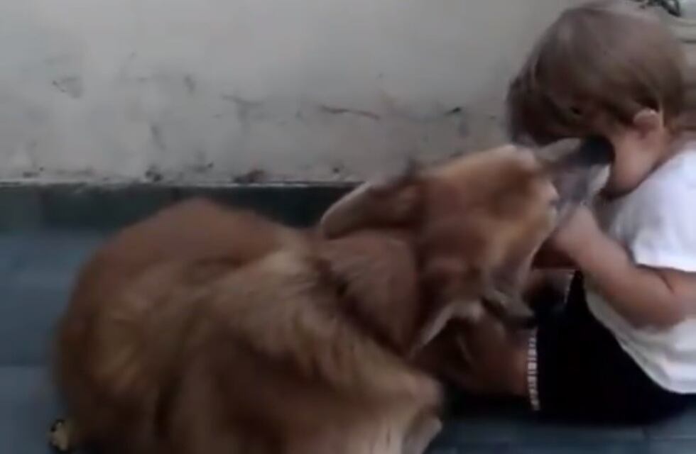 En el Día del Animal, Fein presentó a su mascota en las redes sociales