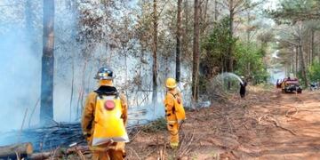 Bomberos de Wanda trabajaron tres horas para sofocar un incendio en un pinar