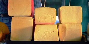 La Cooperativa Agropecuaria y Forestal puso en funcionamiento una sala para producción de quesos en Pozo Azul