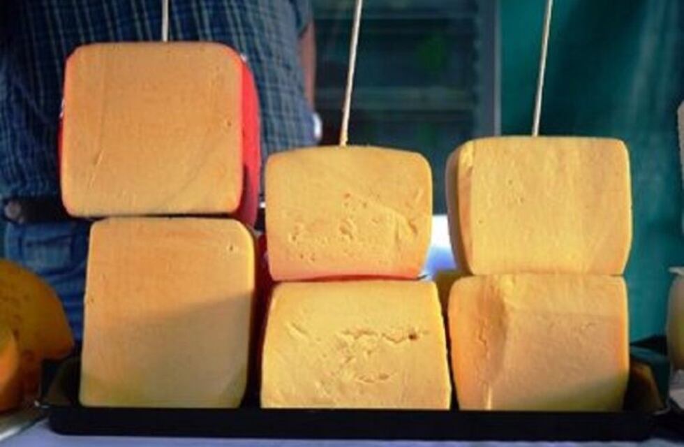 La Cooperativa Agropecuaria y Forestal puso en funcionamiento una sala para producción de quesos en Pozo Azul