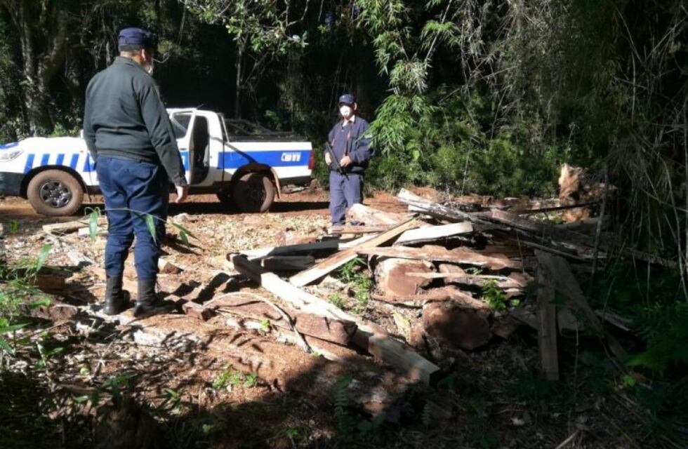 La policía recuperó maderas nativas y secuestró dos vehículos
