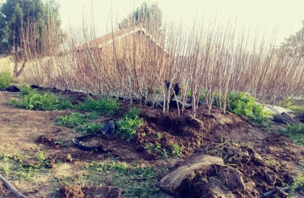 Gran éxito de las jornadas de EcoCanje