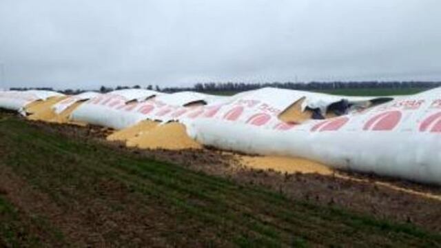Ataques al campo en Morrison, provincia de Córdoba