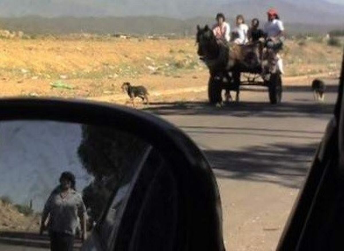 El subsecretario de Desarrollo Social, Alejandro Verón, aseguró que el porcentaje de pobres en Mendoza ronda entre el \