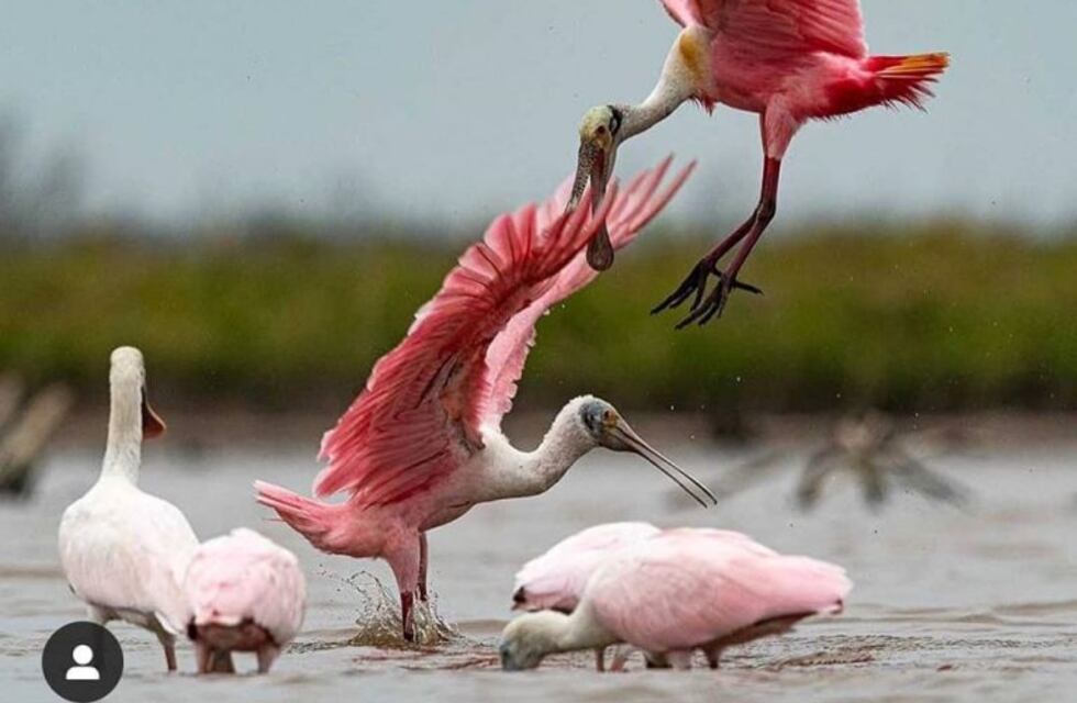 Miramar de Ansenuza dio a conocer su grilla de actividades y eventos