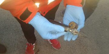 Arma calibrre 22 lista a disparar