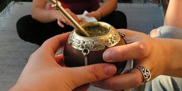 Festival Nacional del Mate en Colonia Italiana\u002E