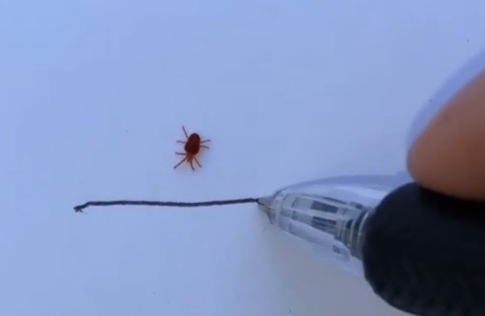 La lapicera "mágica" que detiene a los bichos