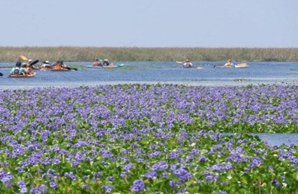 Corrientes es "destino seguro"