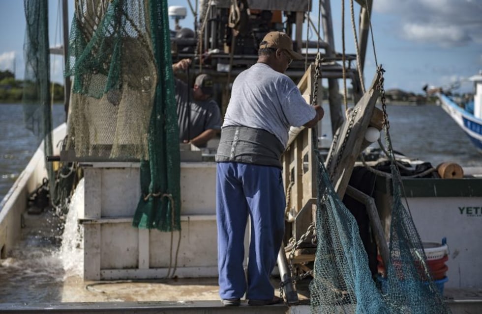 Cayó 17,5% la actividad pesquera en el puerto de Ushuaia