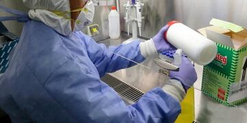 Coronavirus en Salta (Gobierno de la Provincia de Salta)