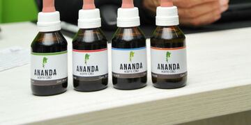 Anmat advierte que los primeros pacientes pudieron disminuir sus convulsiones\u002E