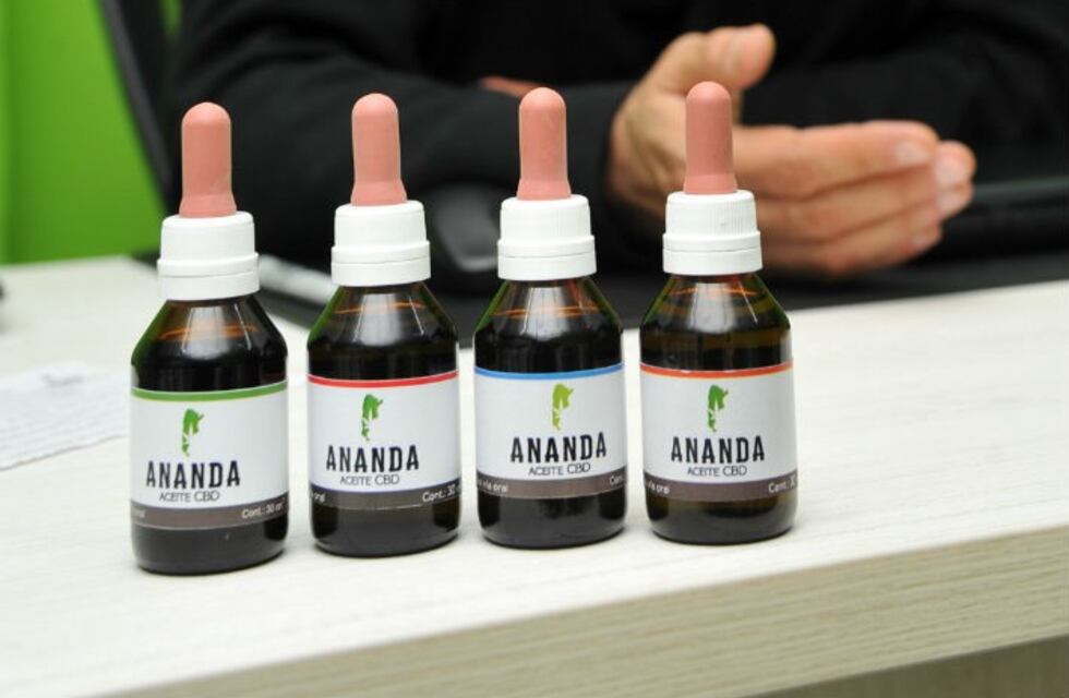 Se duplicaron pedidos por aceite de cannabis