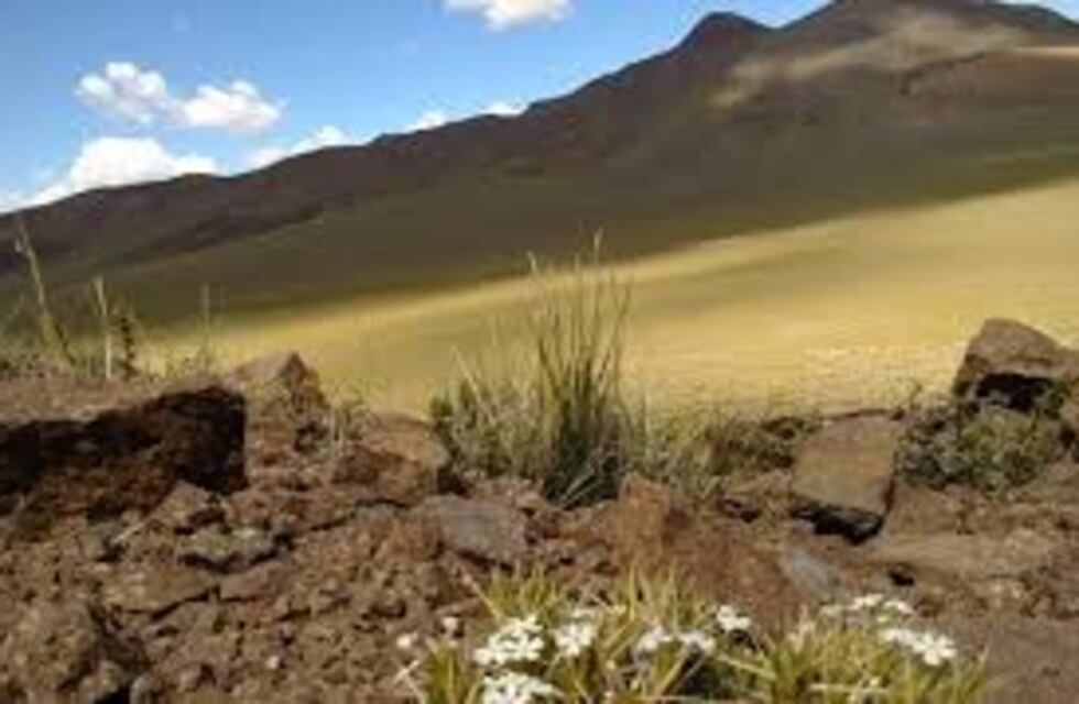 Día Nacional de la Conservación del Suelo: ¿Qué medidas toma Mendoza?