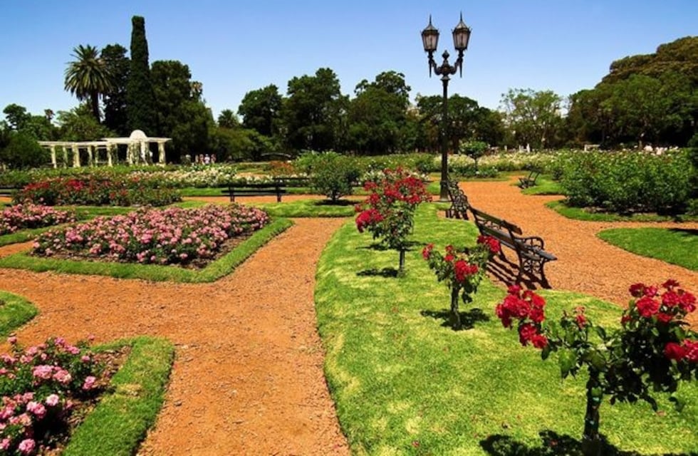 Tiene 71 años y rompió la cuarentena para tomar sol: "Si no salgo, me muero"