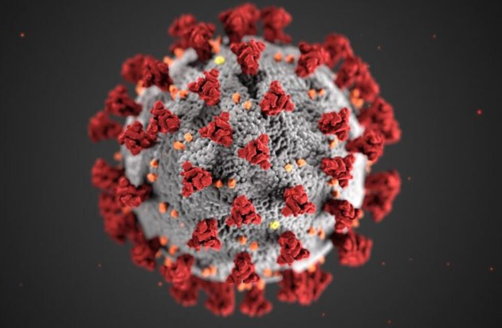 "Coronavirus": por qué se utiliza ese nombre para llamar al COVID-19