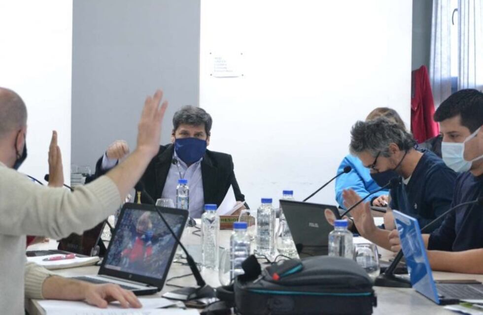 Inédito: se realiza la Primera Comisión Virtual