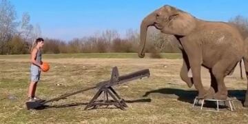 Instagram: @rene_casselly