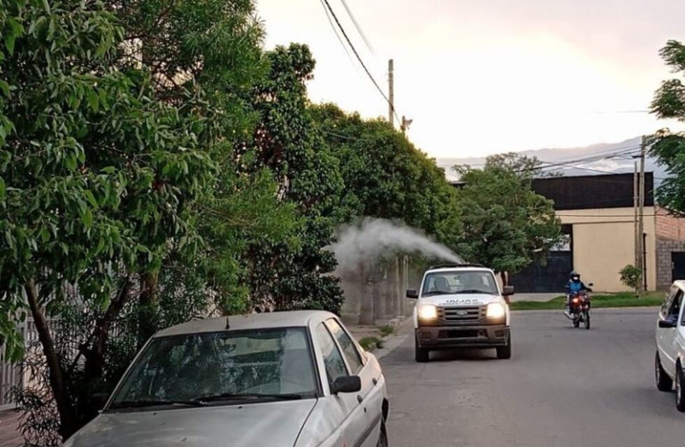 Continúan las medidas de prevención contra el dengue