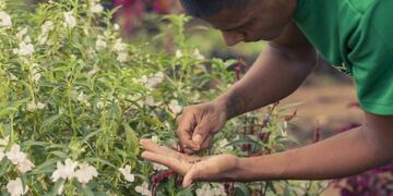Charla sobre semillas