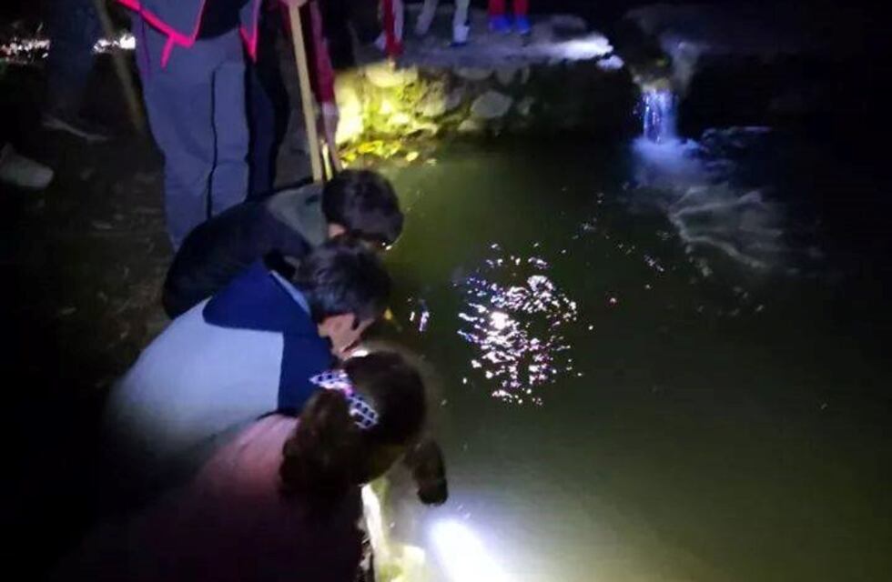 Alta Gracia: se desarrolló con éxito la caminata nocturna para niños