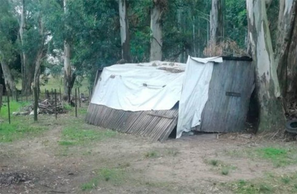 Detuvieron a un exfuncionario de los Derechos Humanos por tener trabajadores sometidos a esclavitud