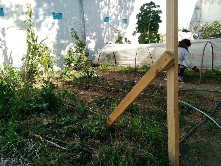 Inta huerta agroecológica