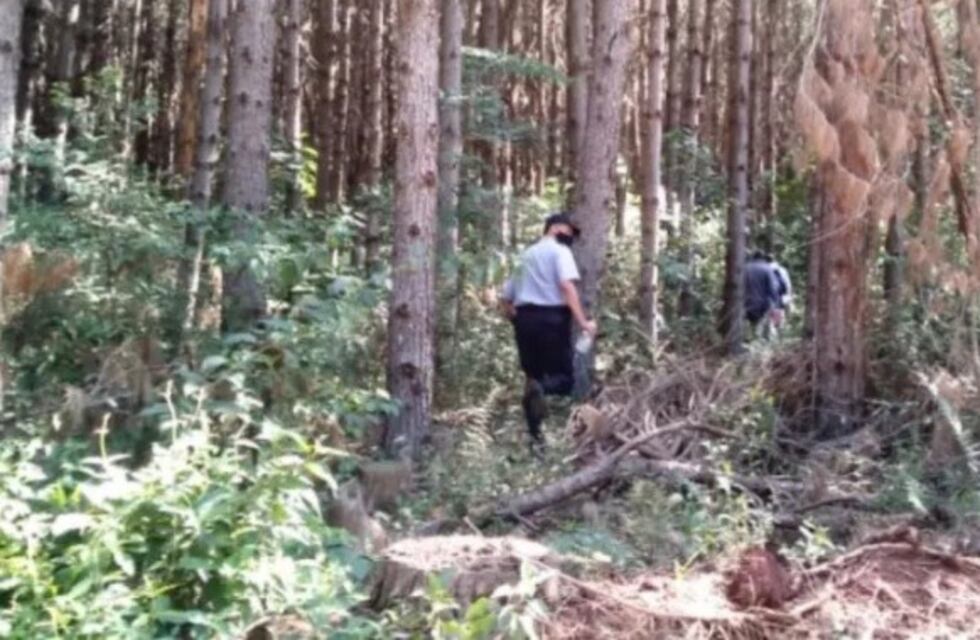 Wanda: encontraron el cuerpo de un hombre de 63 años que estaba desaparecido